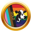 Gold Award